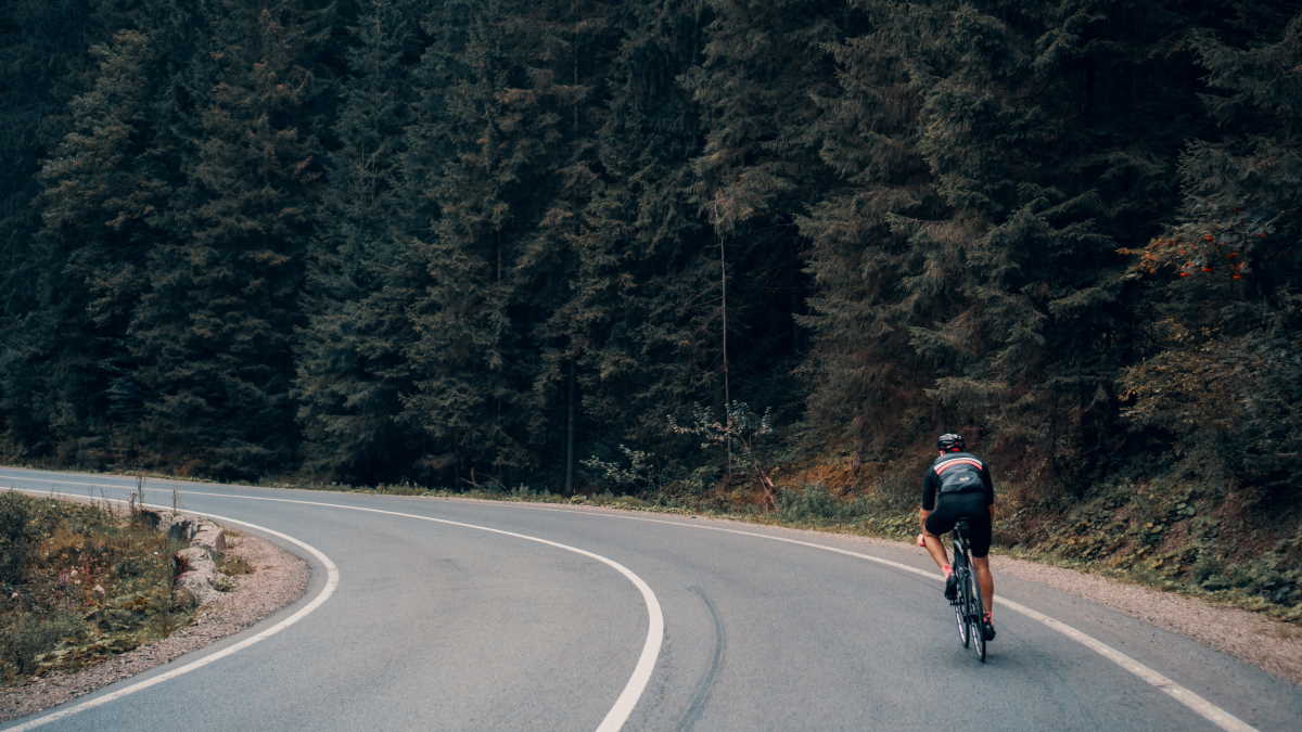 Man cycling alone on road through forest